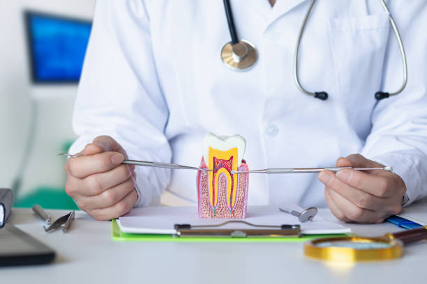 Best Emergency Dental Care for Broken or Chipped Teeth in Spring Green, WI